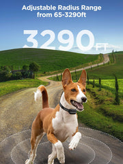 Mode avertissement DOGOITM bip, vibration et choc pour guider.