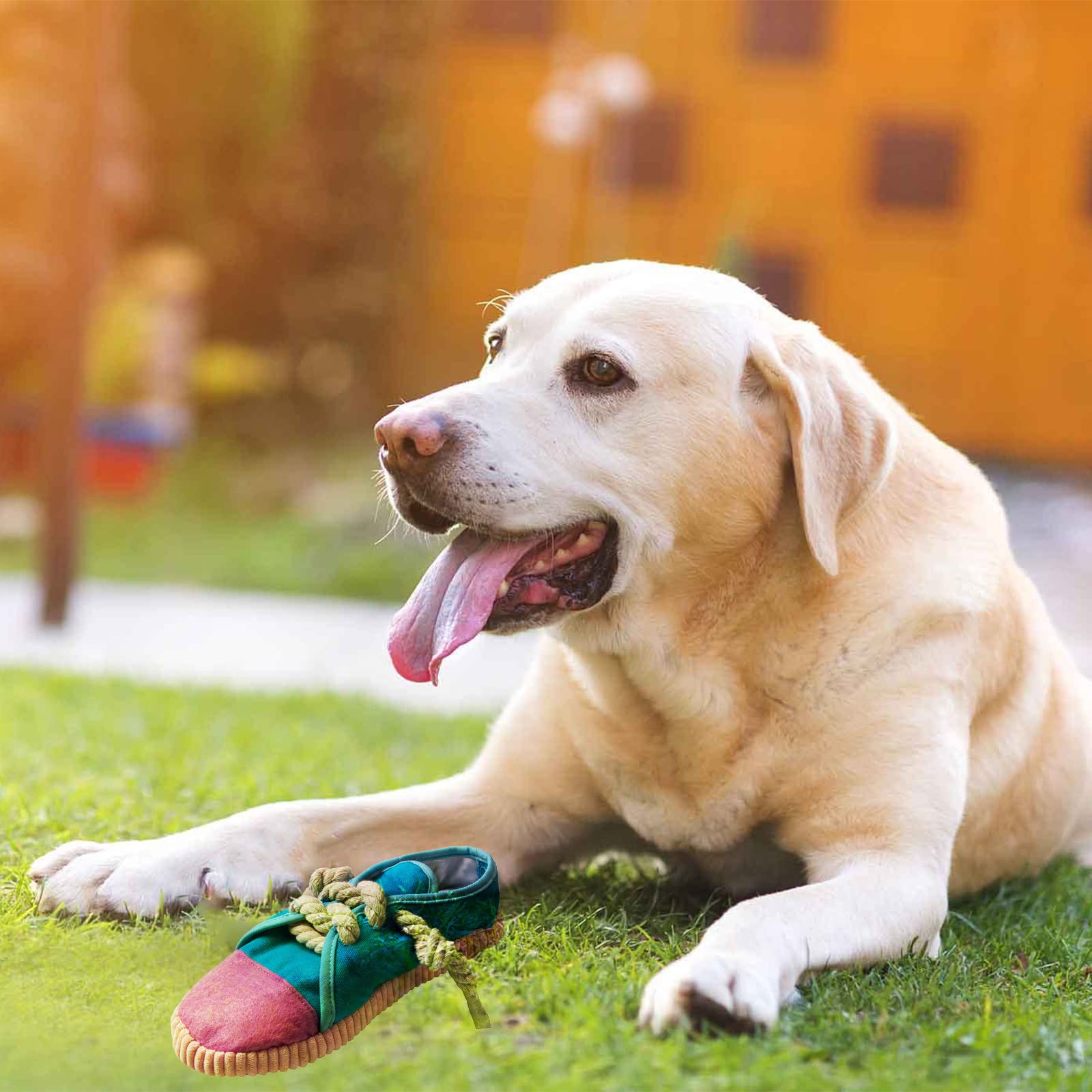 Jouet DOGOWU favorise le bien-être et le lien entre vous et votre chien.