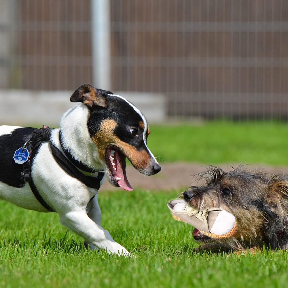 DOGOWU: jouet dentition-chaussure pour massage des gencives.