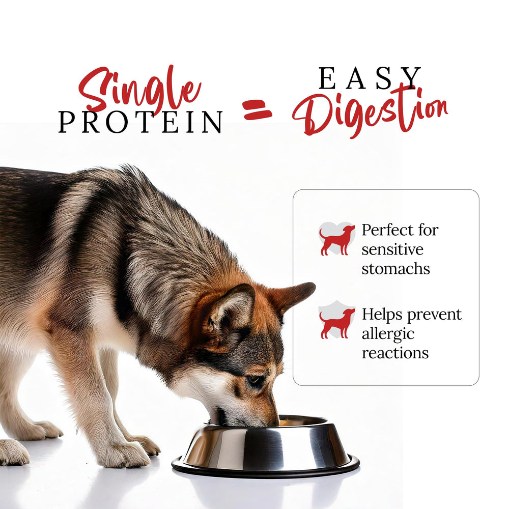 Nourriture DOG'S LOVE au bœuf en conserve, ingrédients limités et traçabilité