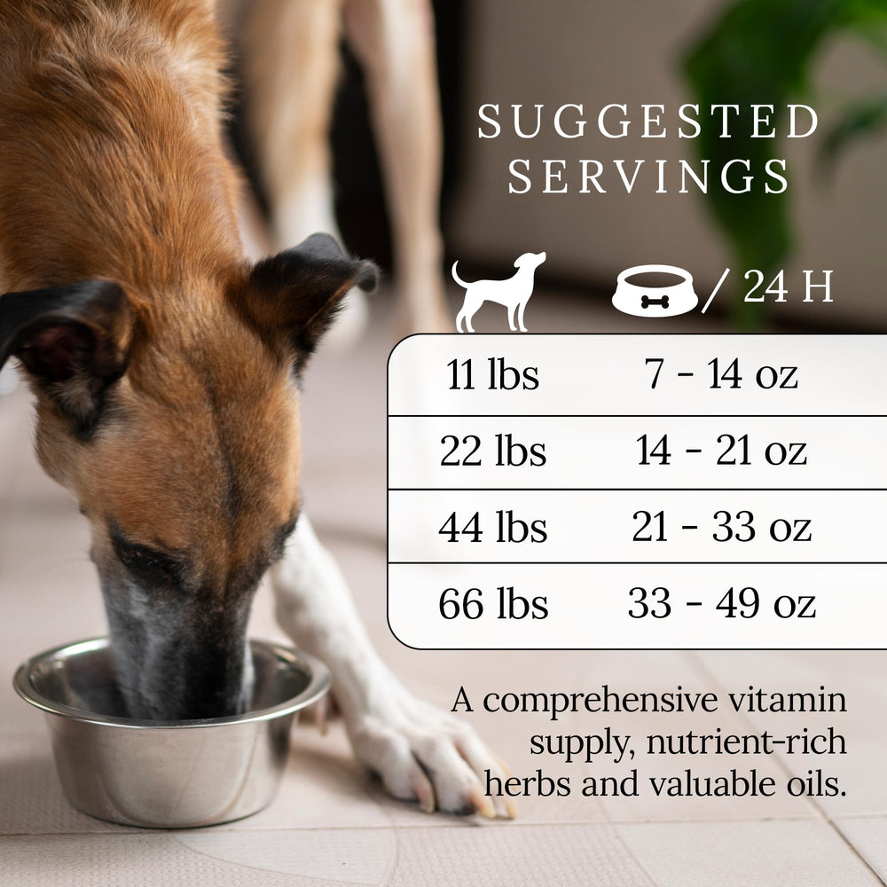 Nourriture DOG'S LOVE qualité premium, nutrition complète pour chien
