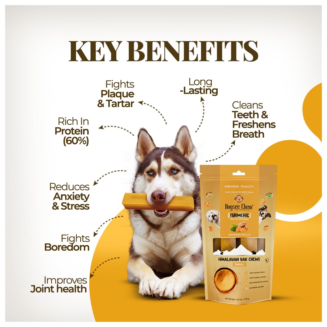 Barres XL Dogsee – portions adaptées pour grands chiens actifs.