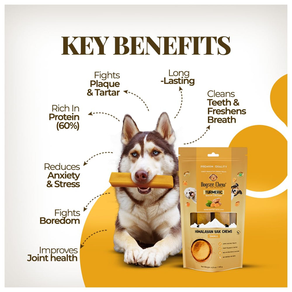 Dogsee Himalayan Yak Chews au curcuma — texture longue durée pour chiens actifs.