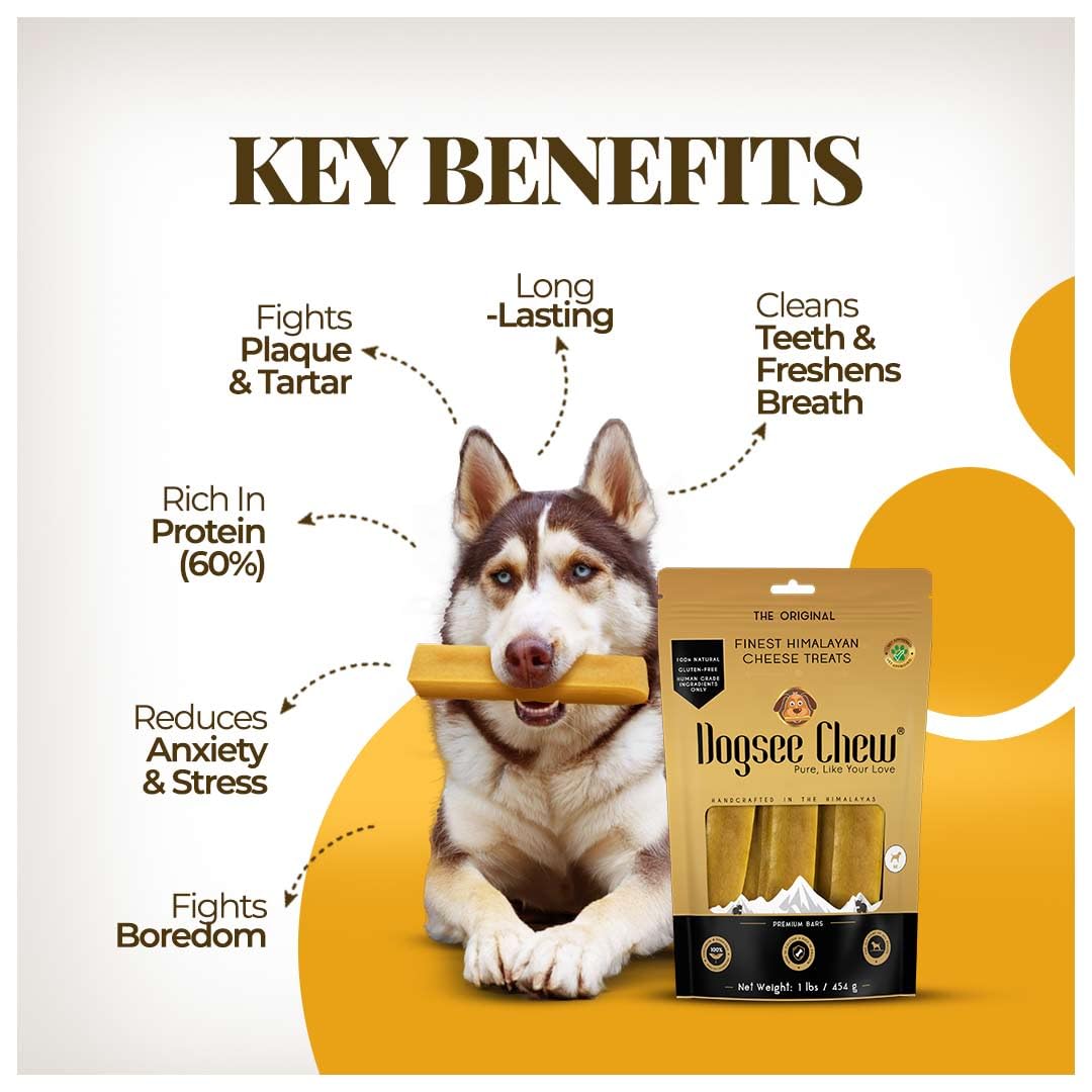 Dogsee Original – sans lactose, aide à une digestion potentiellement plus facile