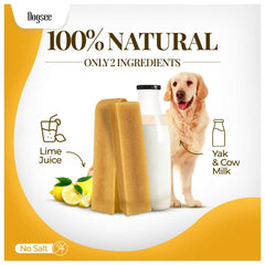 Dogsee Original – texture dure idéale pour occuper les chiens agressifs