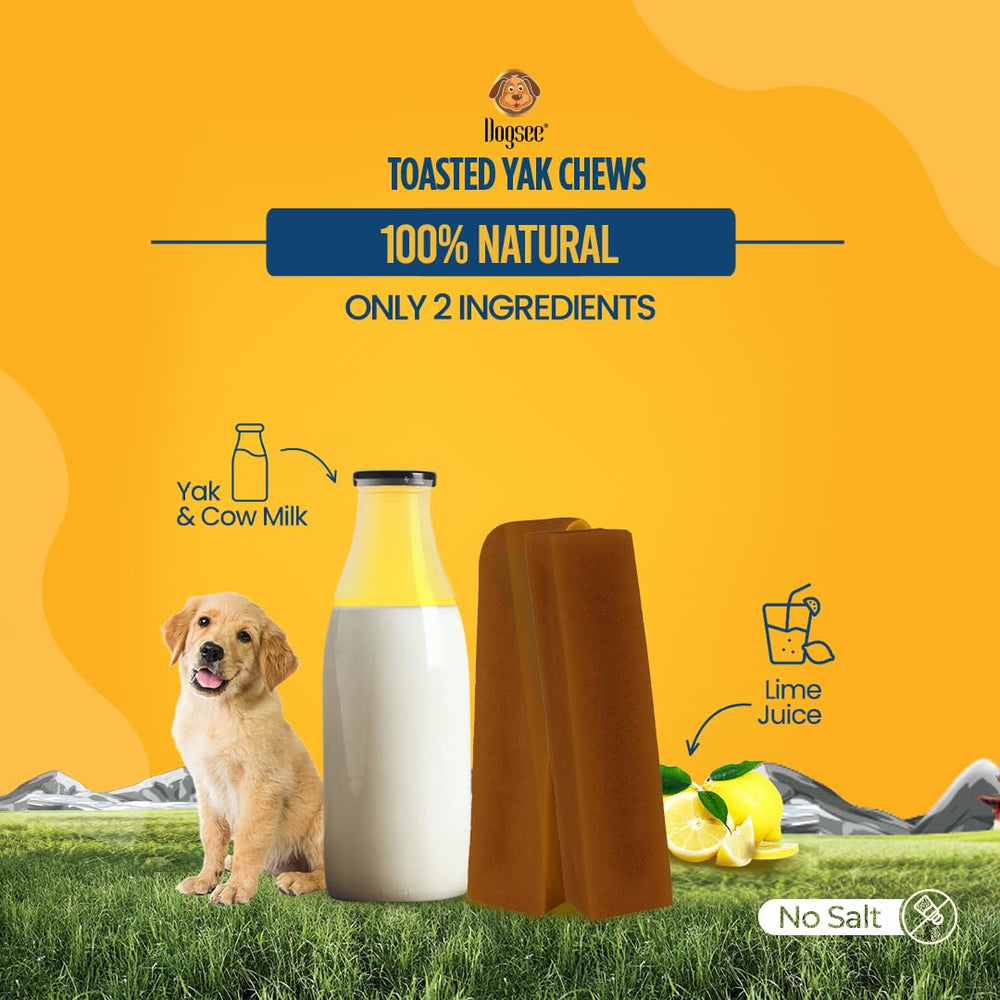 Dogsee Toasted Yak Cheese idéal pour morsures agressives – occupe les chiens plus longtemps.