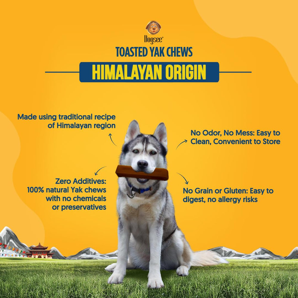 Dogsee Toasted Yak Cheese sans gluten et sans céréales – idéal pour chiens sensibles.