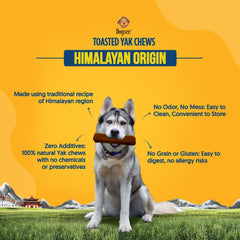 Dogsee Toasted Yak Cheese sans gluten et sans céréales – idéal pour chiens sensibles.