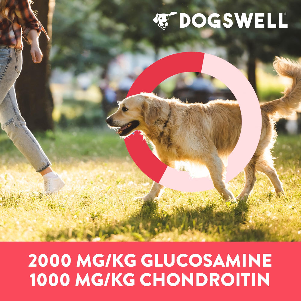 DOGSWELL oméga-3, goût riche et soutien potentiel du pelage.