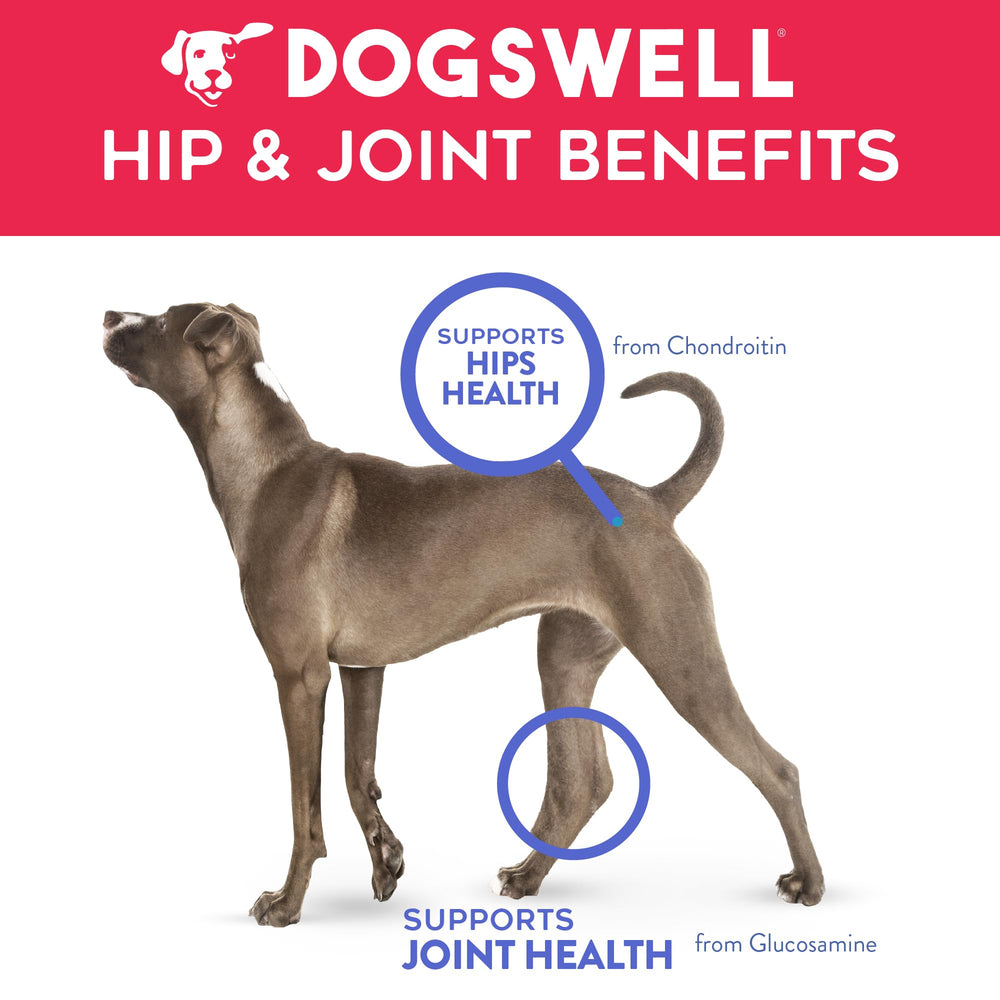 Dogswell chondroïtine 650 mg/kg: potentiel soutien des articulations lors du jeu.
