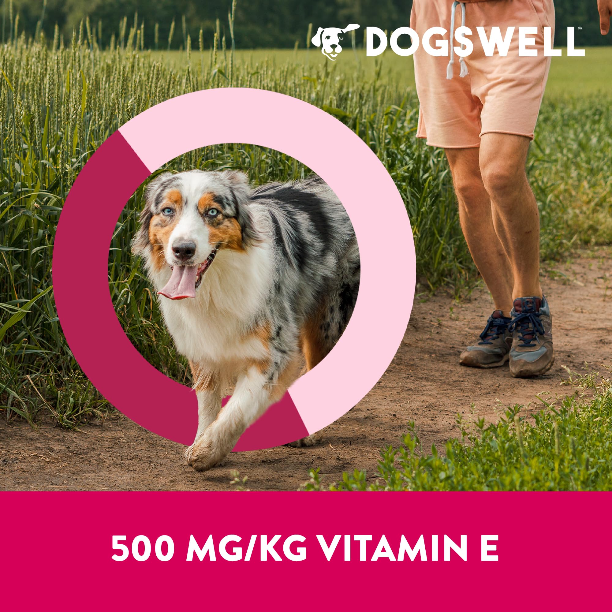 DOGSWELL Fabriqué aux Etats-Unis, qualité et traçabilité.