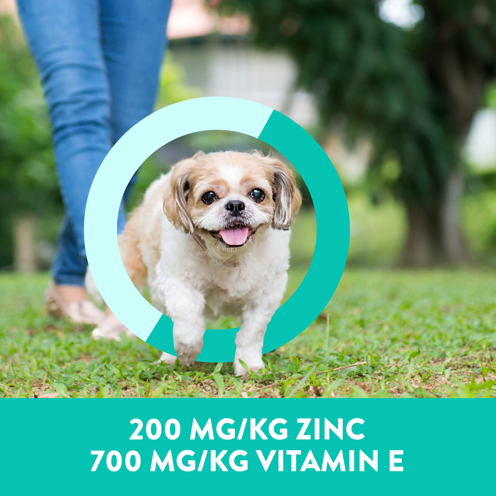 Format mini DOGSWELL idéal pour chiens petits, goût apprécié.