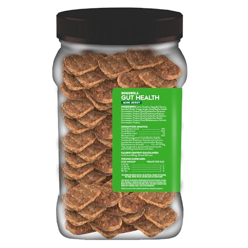 Dogswell Gut Health Lamb Mini Jerky — chien en train de manger, soutien digestif potentiel.