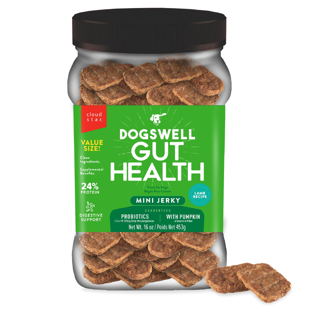 Dogswell Gut Health Lamb Mini Jerky — sachet prêt à l’emploi, friandise pratique pour chien actif.