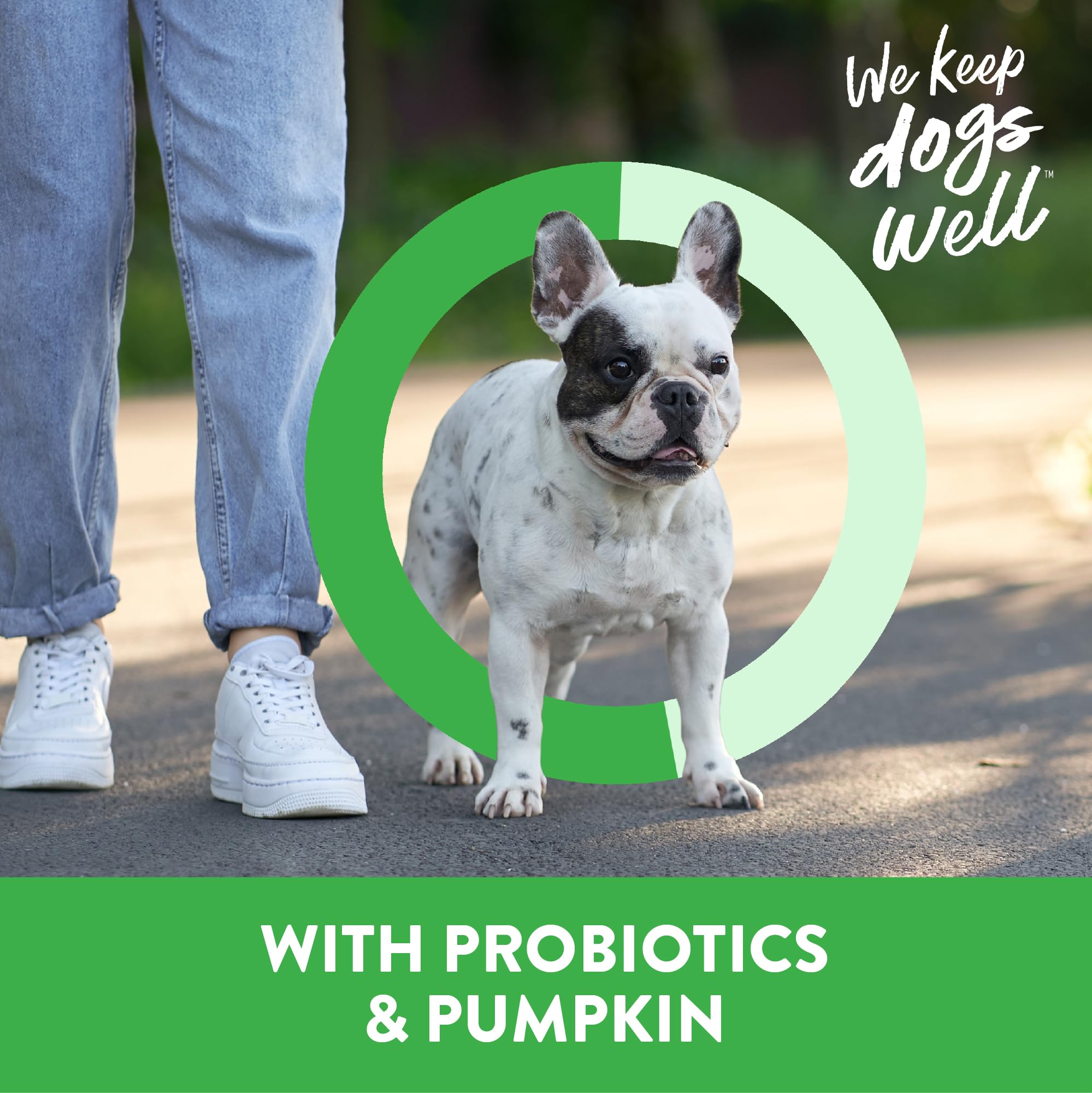 Dogswell Gut Health Lamb Mini Jerky — sans céréales et additifs artificiels.