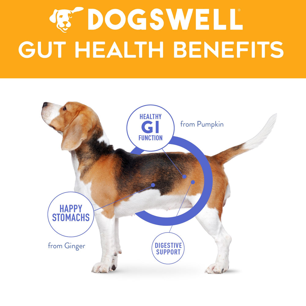 DOGSWELL Gut Health Slices - probiotiques garantis pour routine saine
