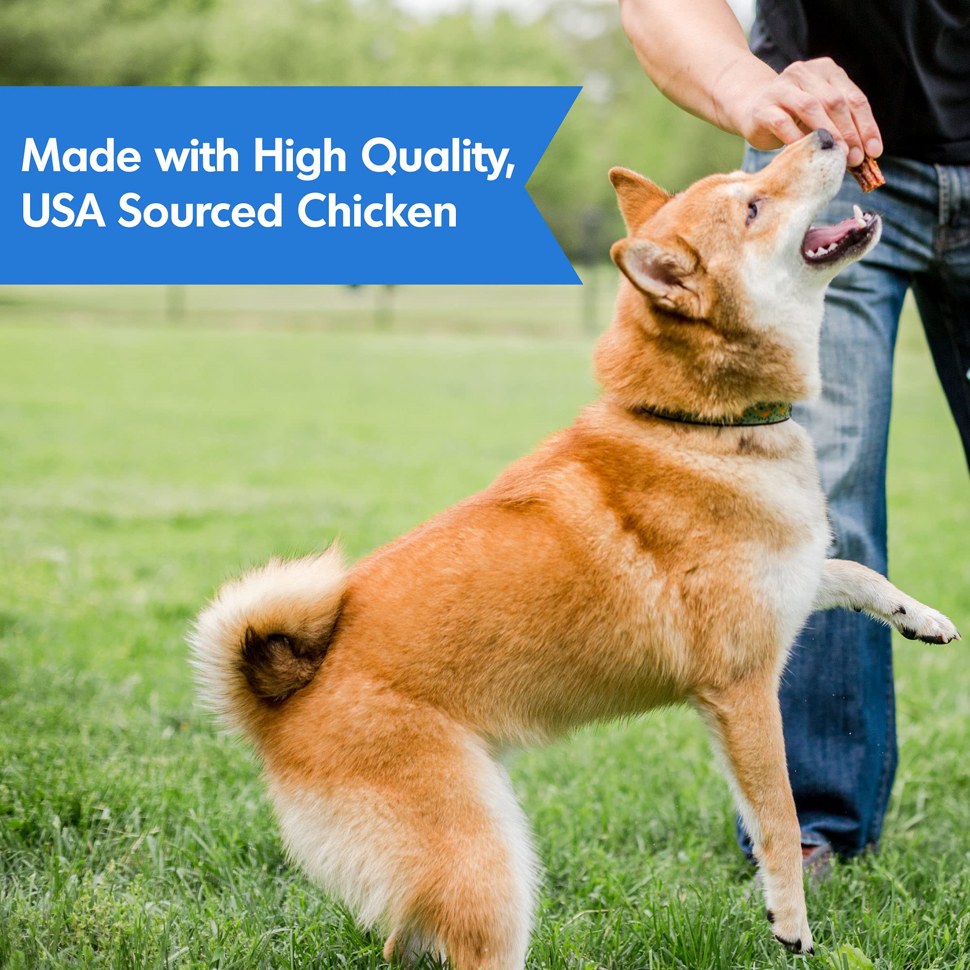 DOGSWELL Jerky glucosamine-chondroïtine: soutien potentiel des articulations lors d activites.