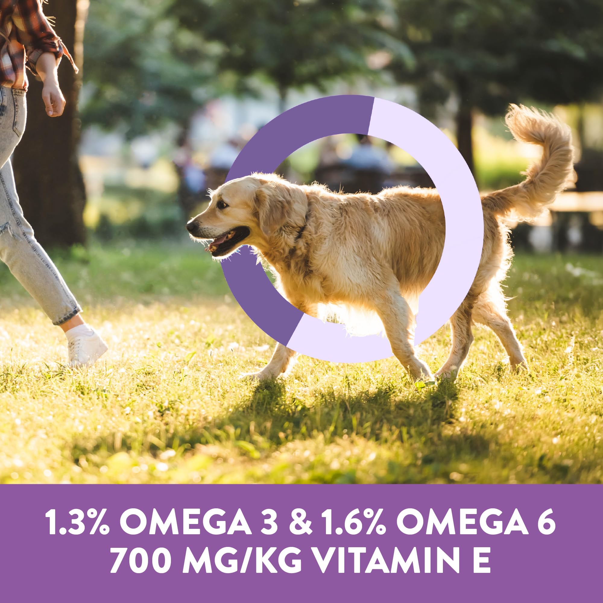 DOGSWELL sans céréales et sans artificiels, option légère
