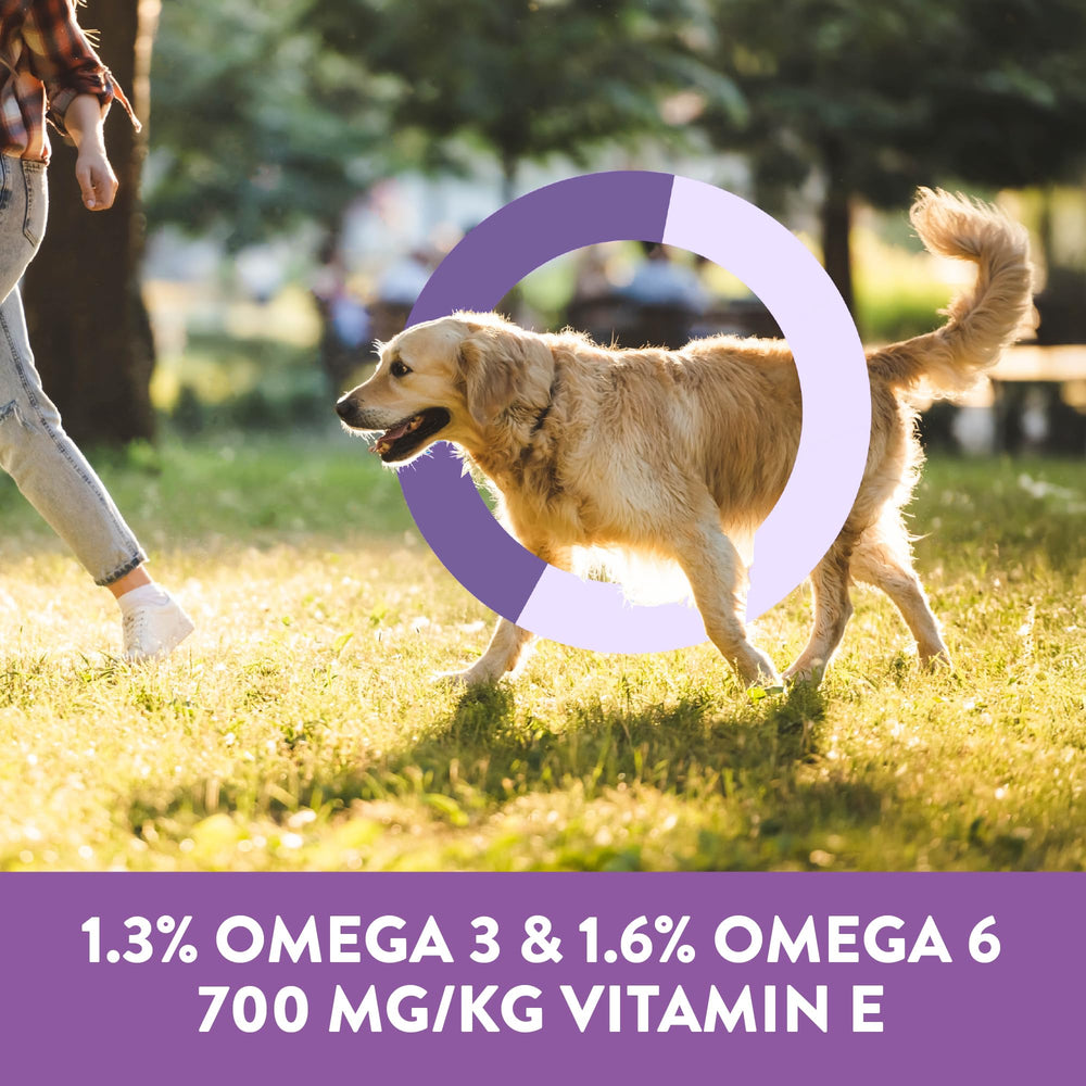 DOGSWELL sans céréales et sans artificiels, option légère