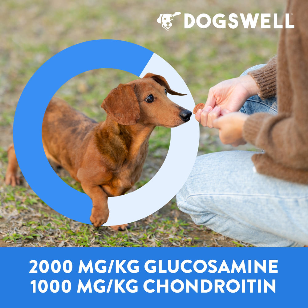 DOGSWELL sans sucre ajouté pour une gâterie sûre.