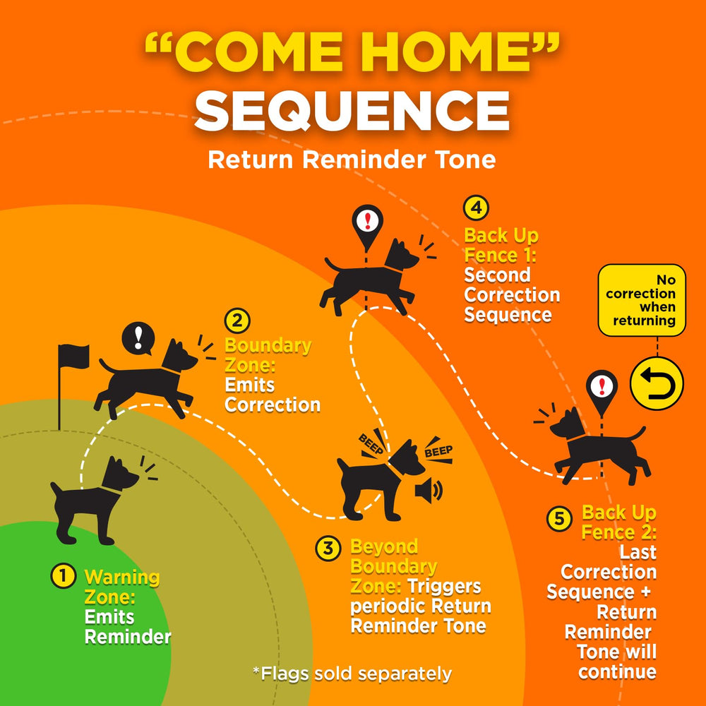 Dogtra clôture GPS avertissement sonore guidant le chien vers le domicile