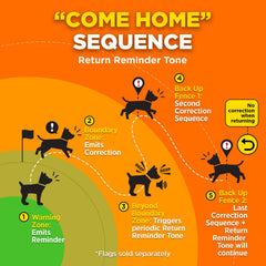 Dogtra clôture GPS avertissement sonore guidant le chien vers le domicile