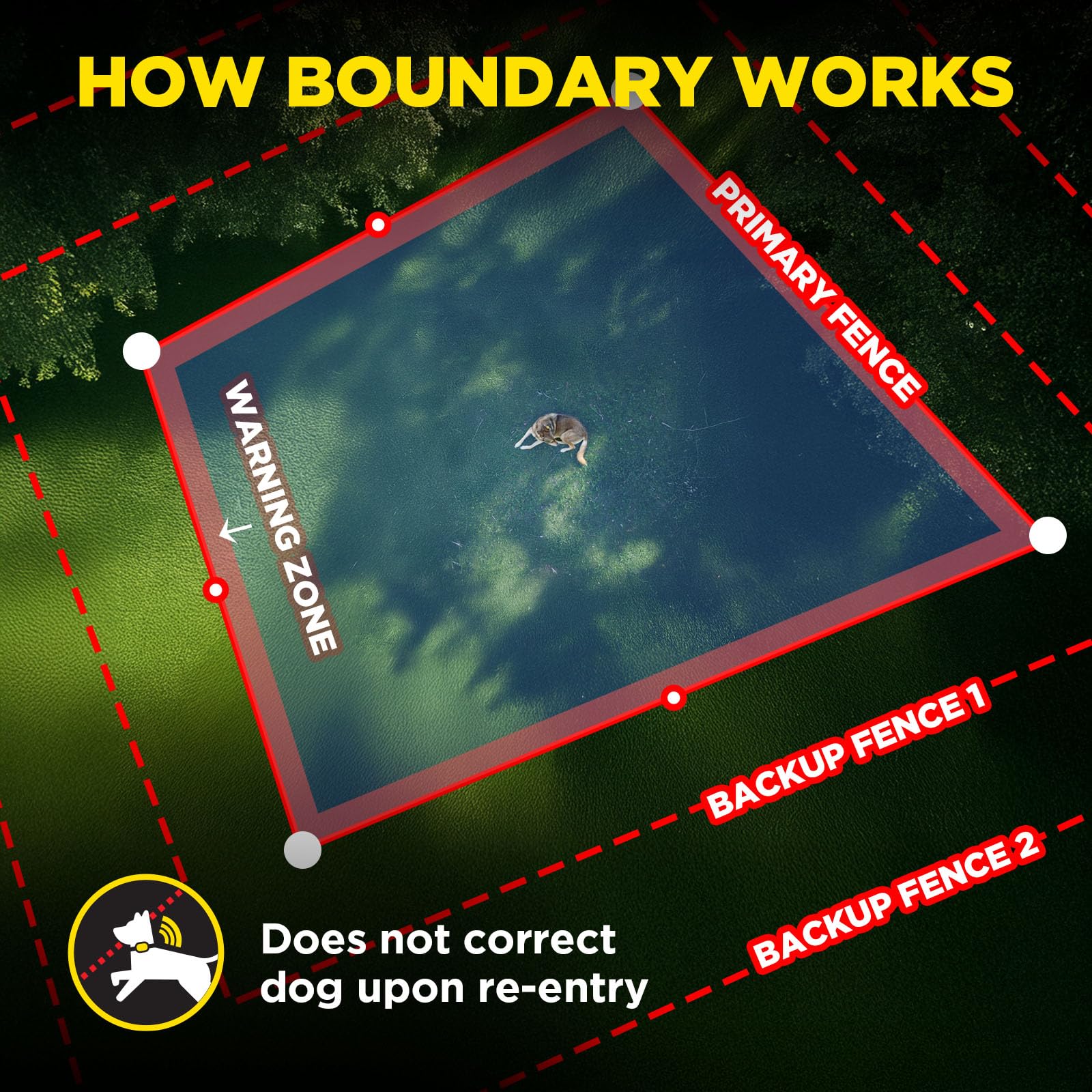 Dogtra clôture GPS bordure virtuelle adaptée à votre terrain