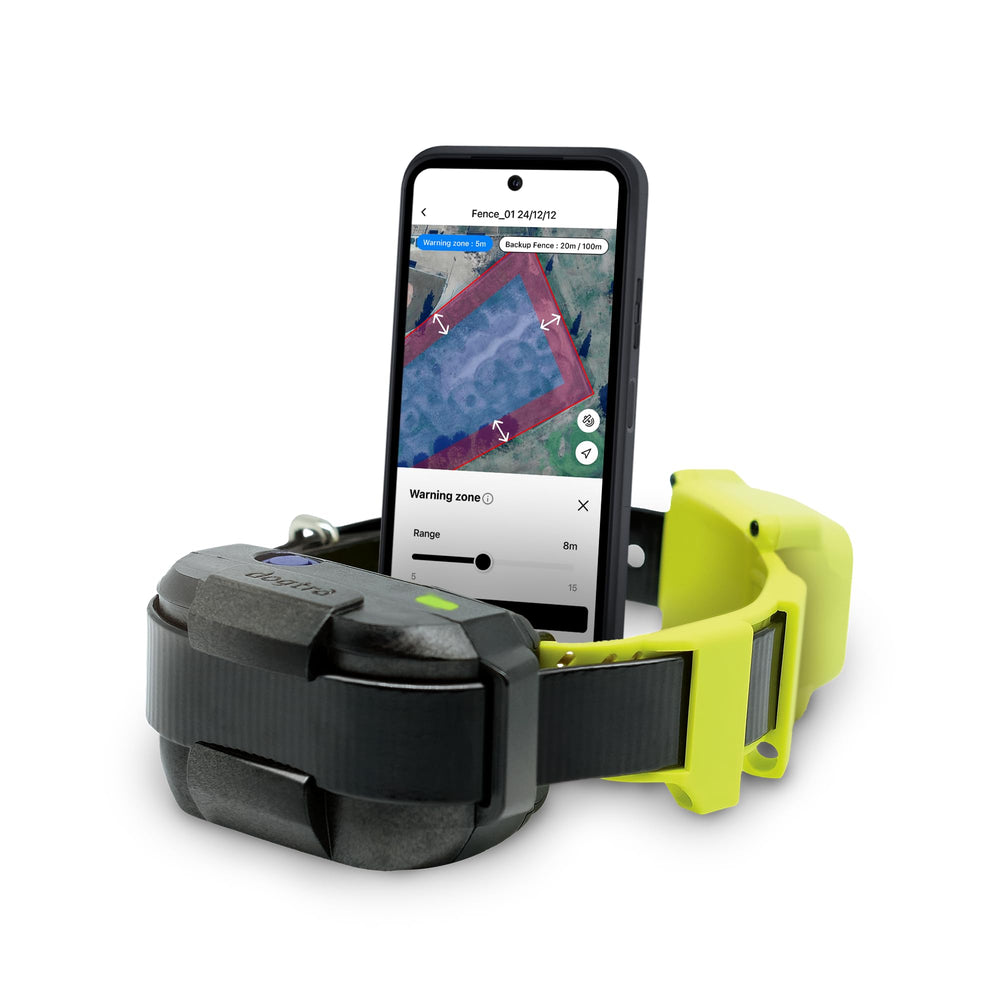 Dogtra clôture GPS collier rechargeable pour autonomie et liberté maîtrisée