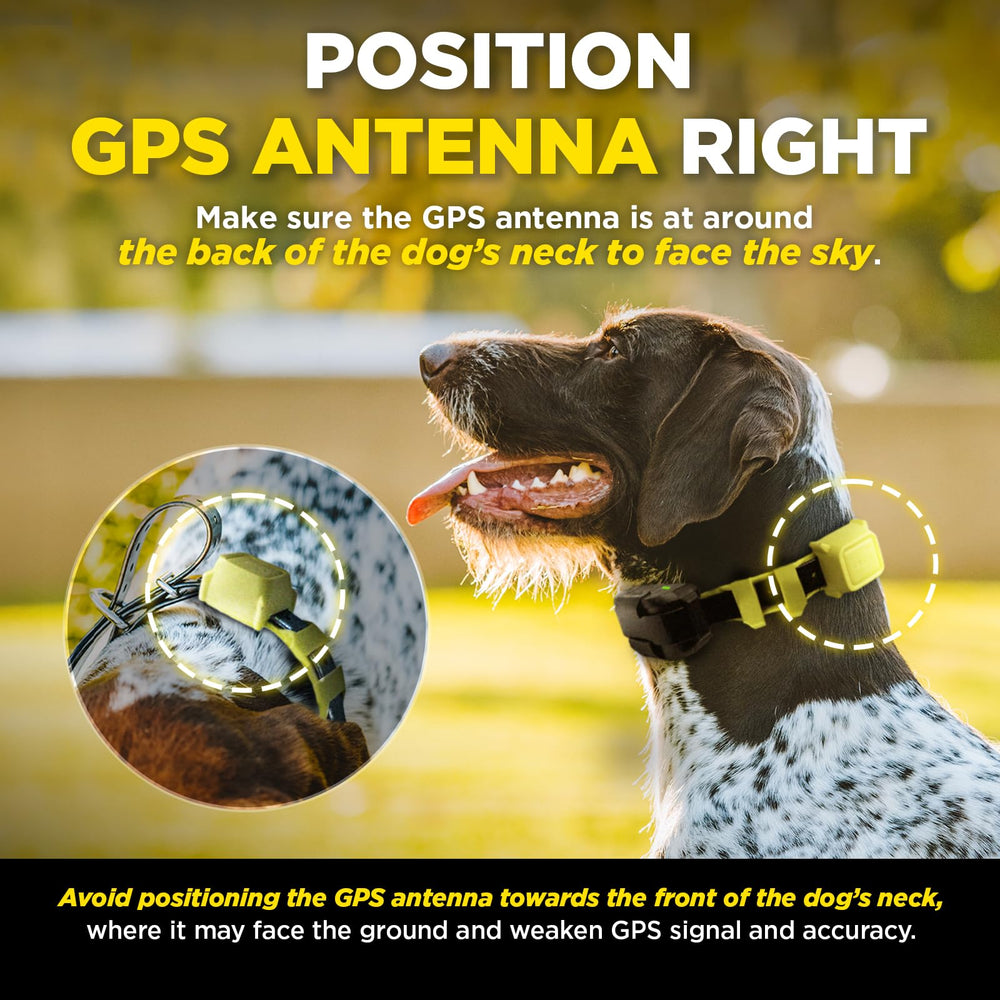 Dogtra clôture GPS étanchéité IPX9K pour l'extérieur