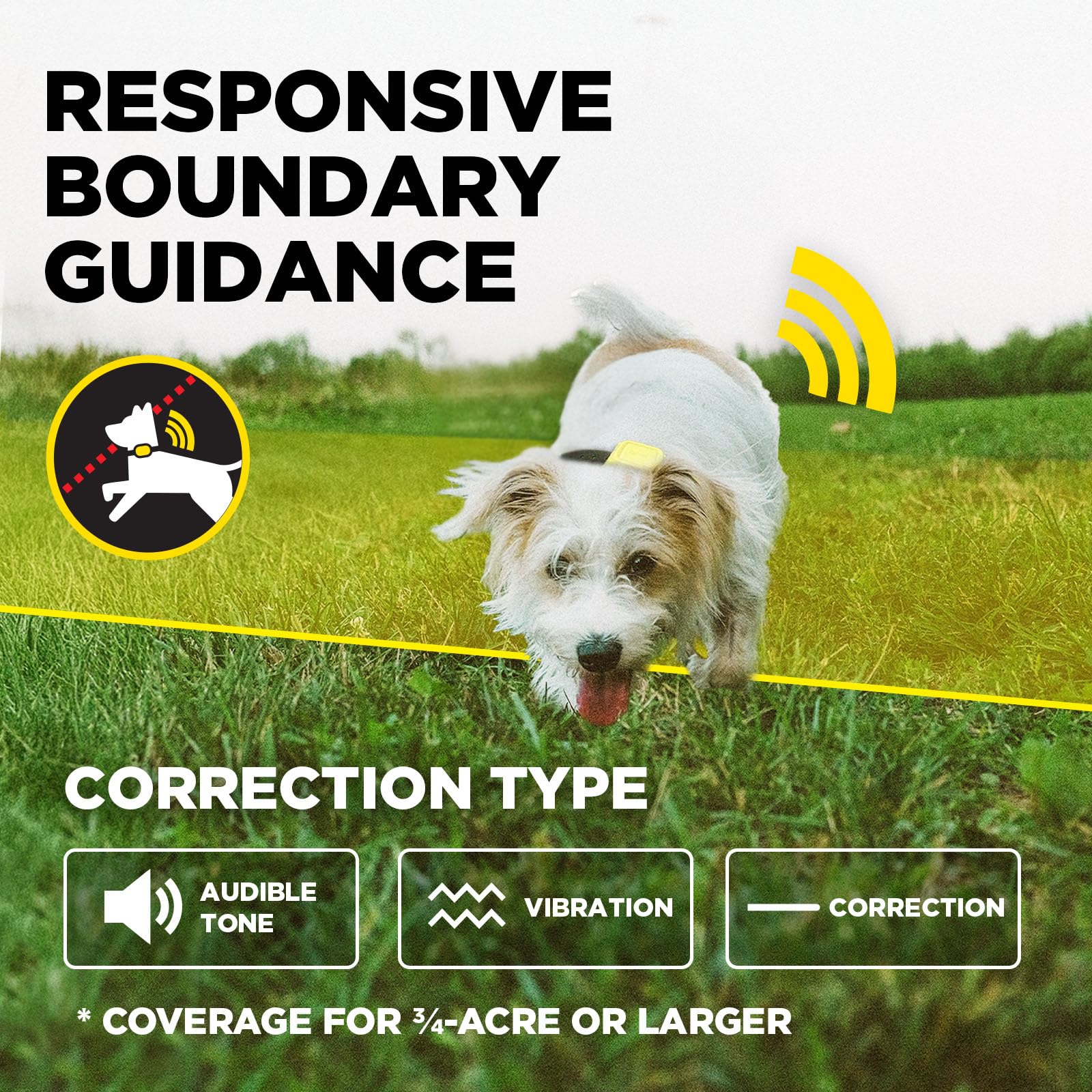 Dogtra clôture GPS confinement sans abonnement pour plus de liberté