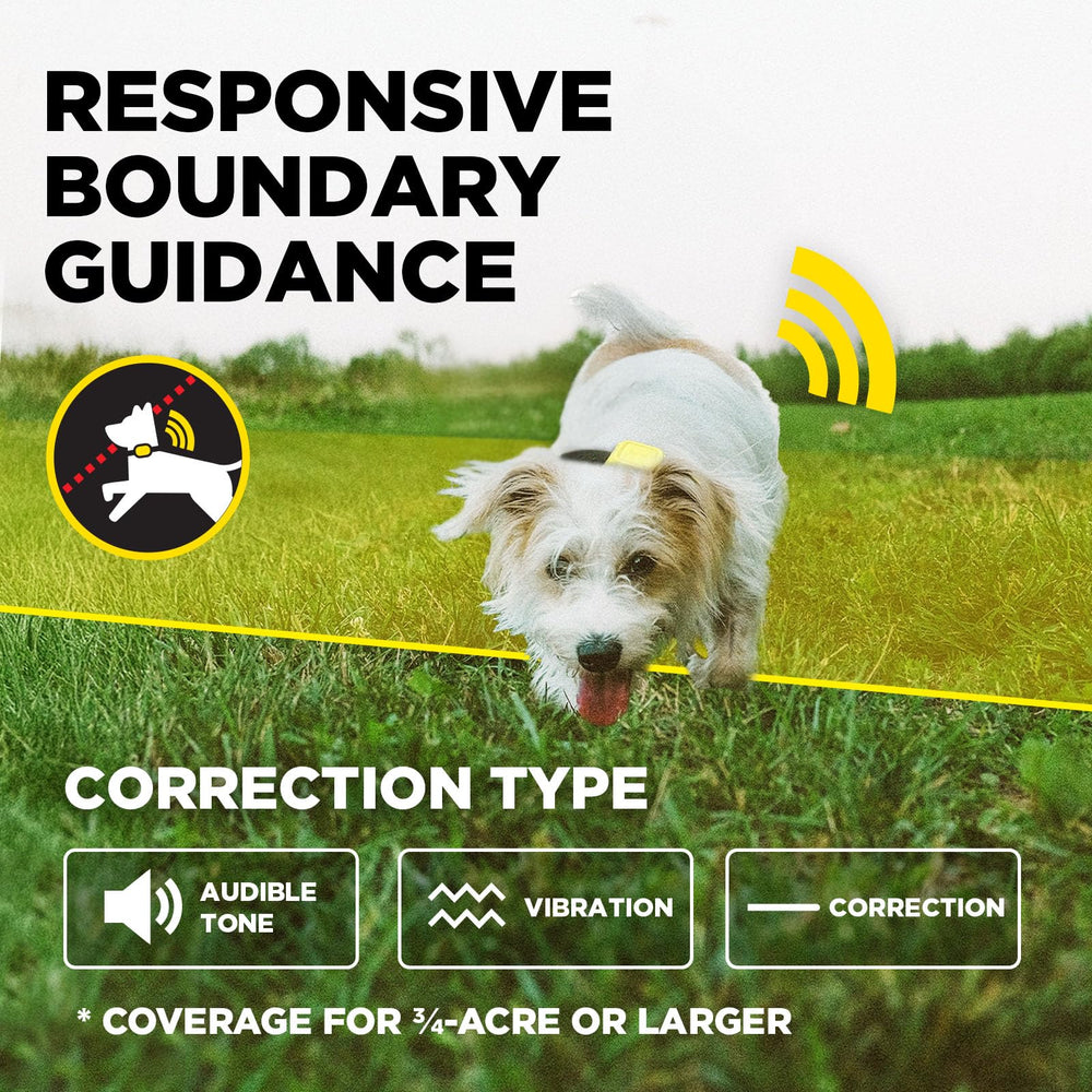Dogtra clôture GPS confinement sans abonnement pour plus de liberté