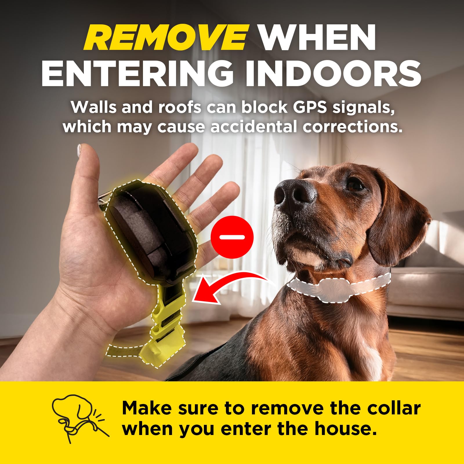 Dogtra clôture GPS vibration et réglages personnalisables