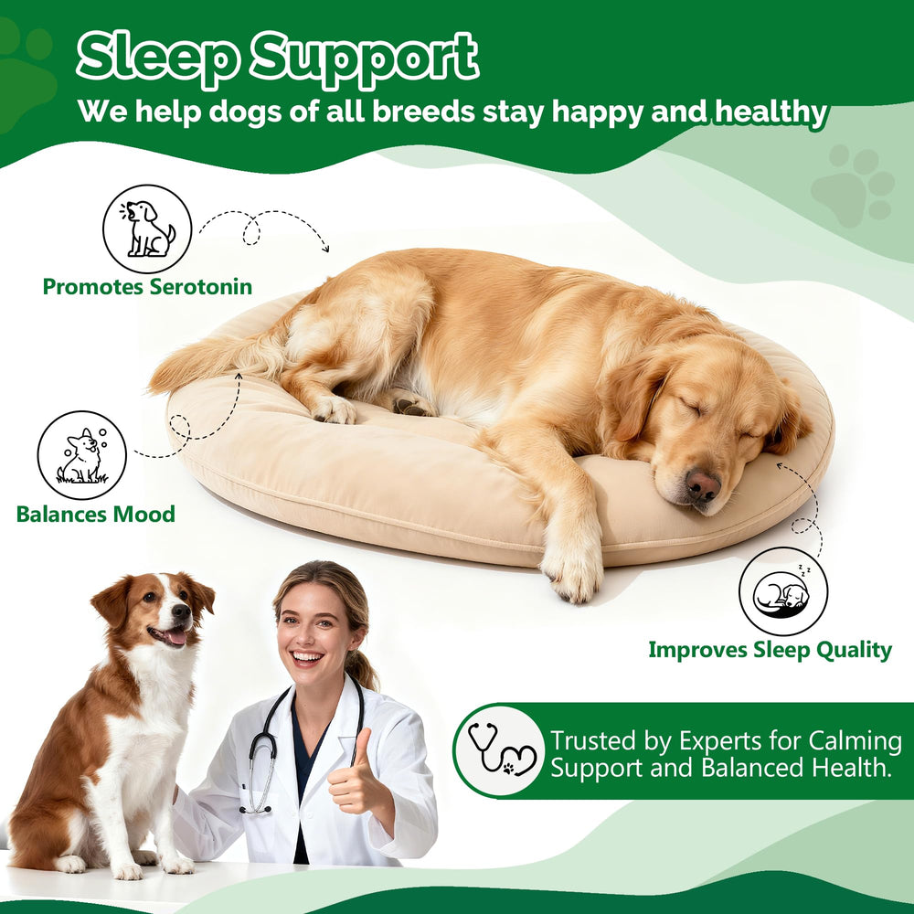 DOGVC friandises apaisantes silhouette chien calme, illustration d’un compagnon serein.