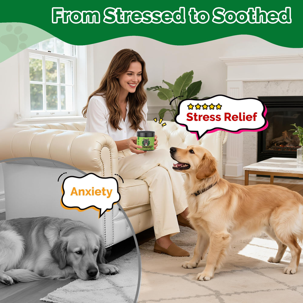 DOGVC premier-plan friandises calmes pour chiens, idéal pour la détente.