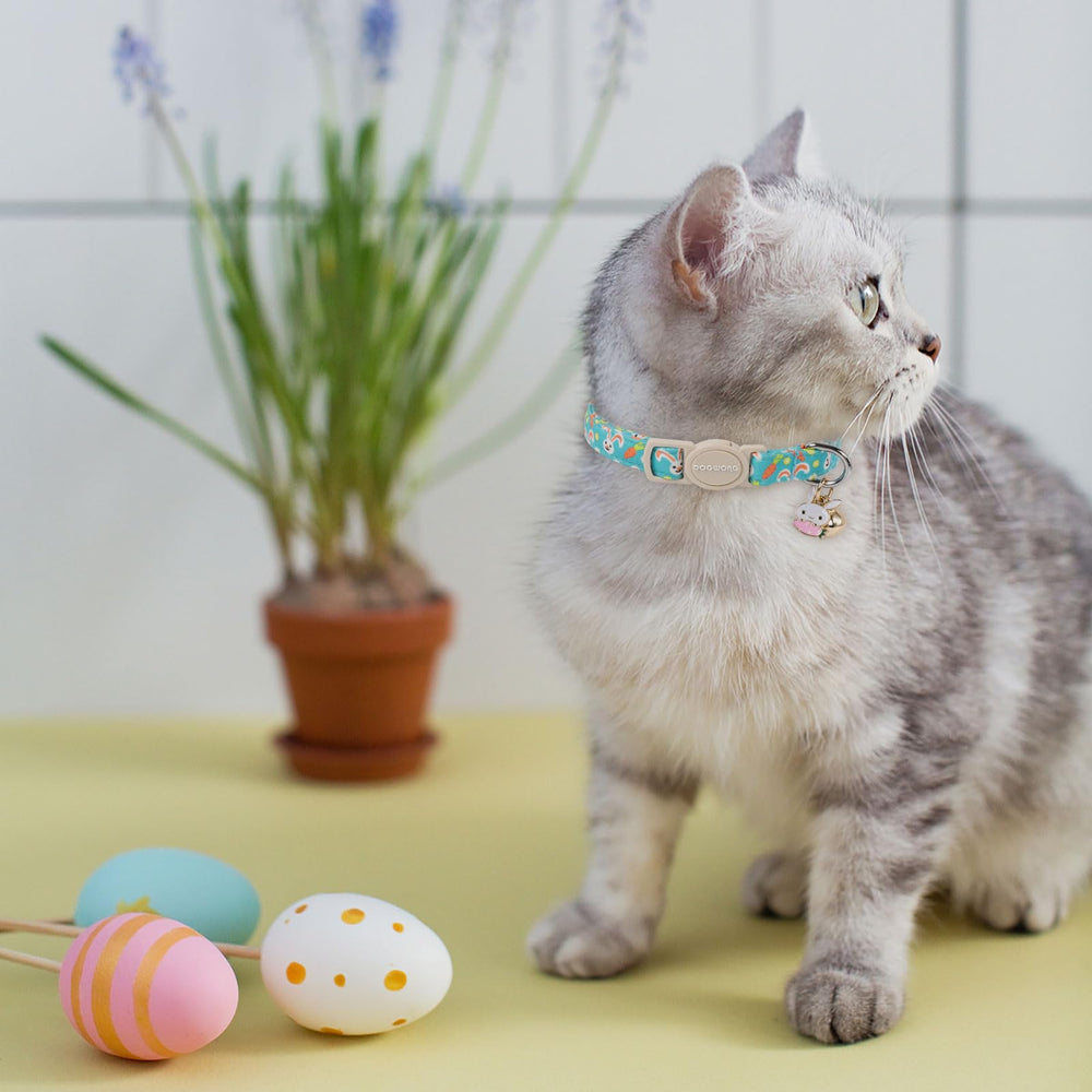 Collier DOGWONG pour chat, designs variés pour différents looks.