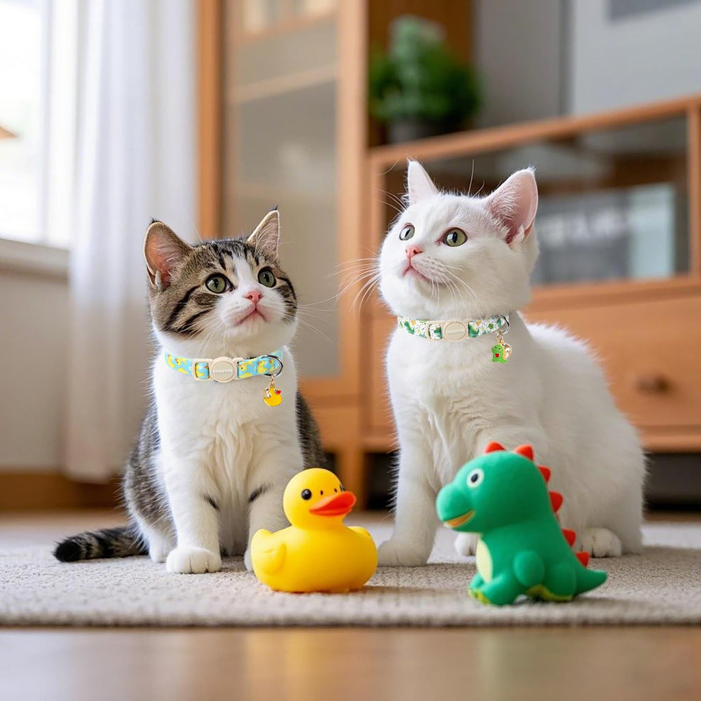 DOGWONG collier chat motifs tendance, options interchangeables pour varier le look.