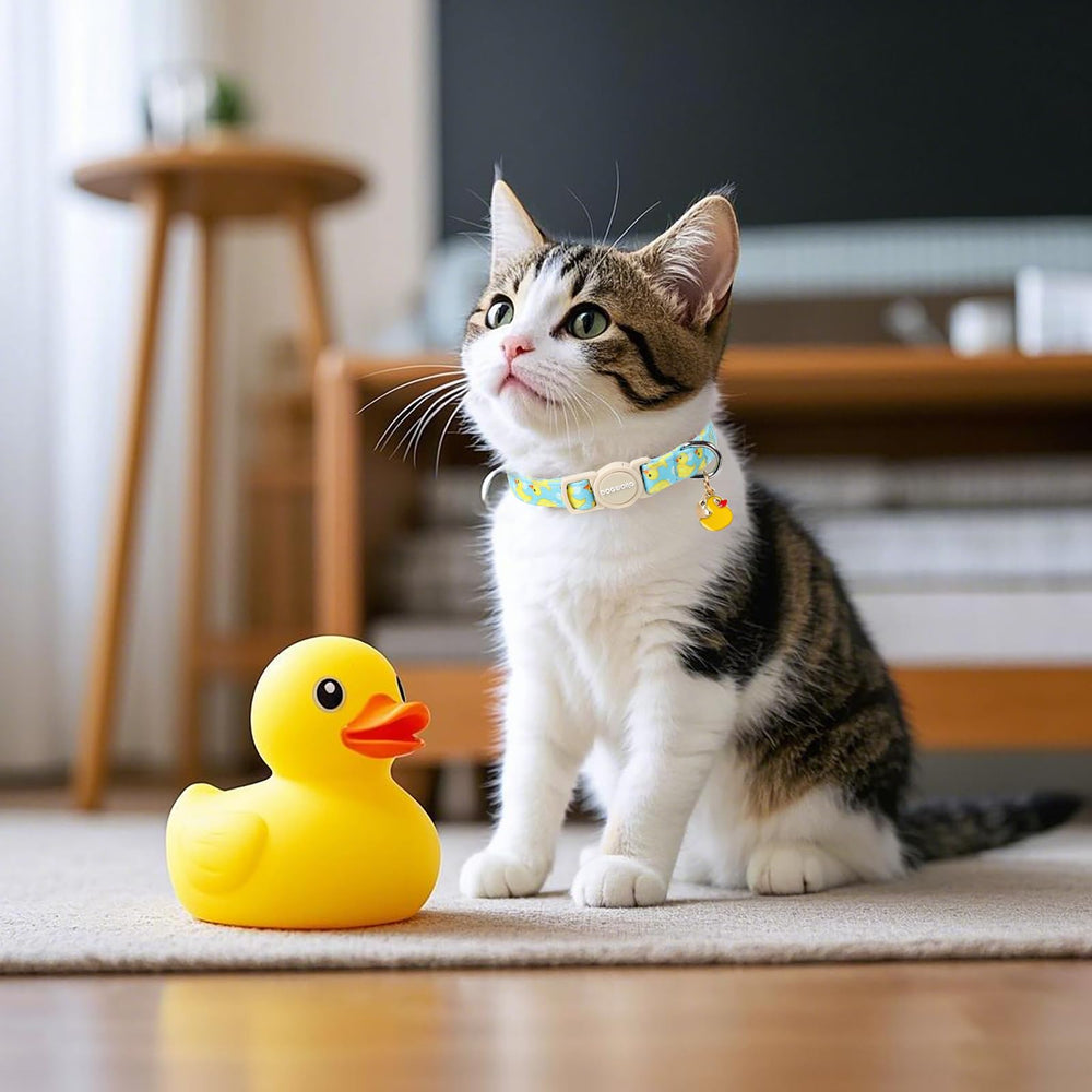 DOGWONG collier chat sécurité et confort, design fiable et facile à utiliser.