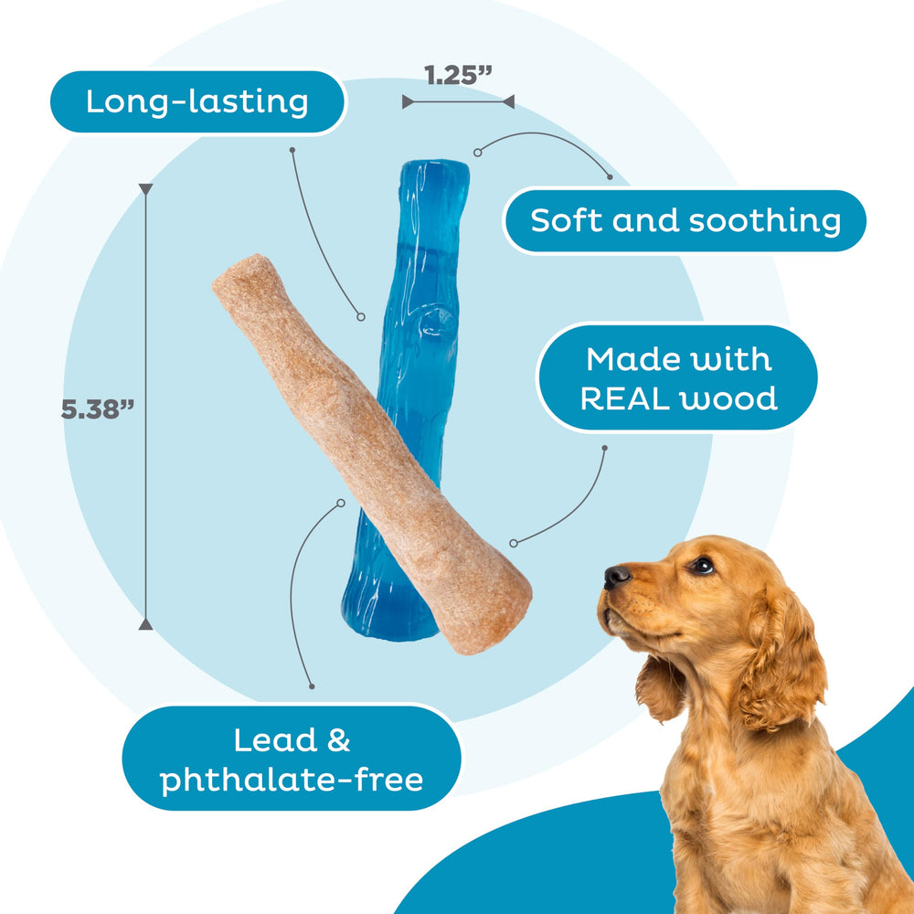 Dogwood jeu interactif, parfait pour petits chiens actifs.