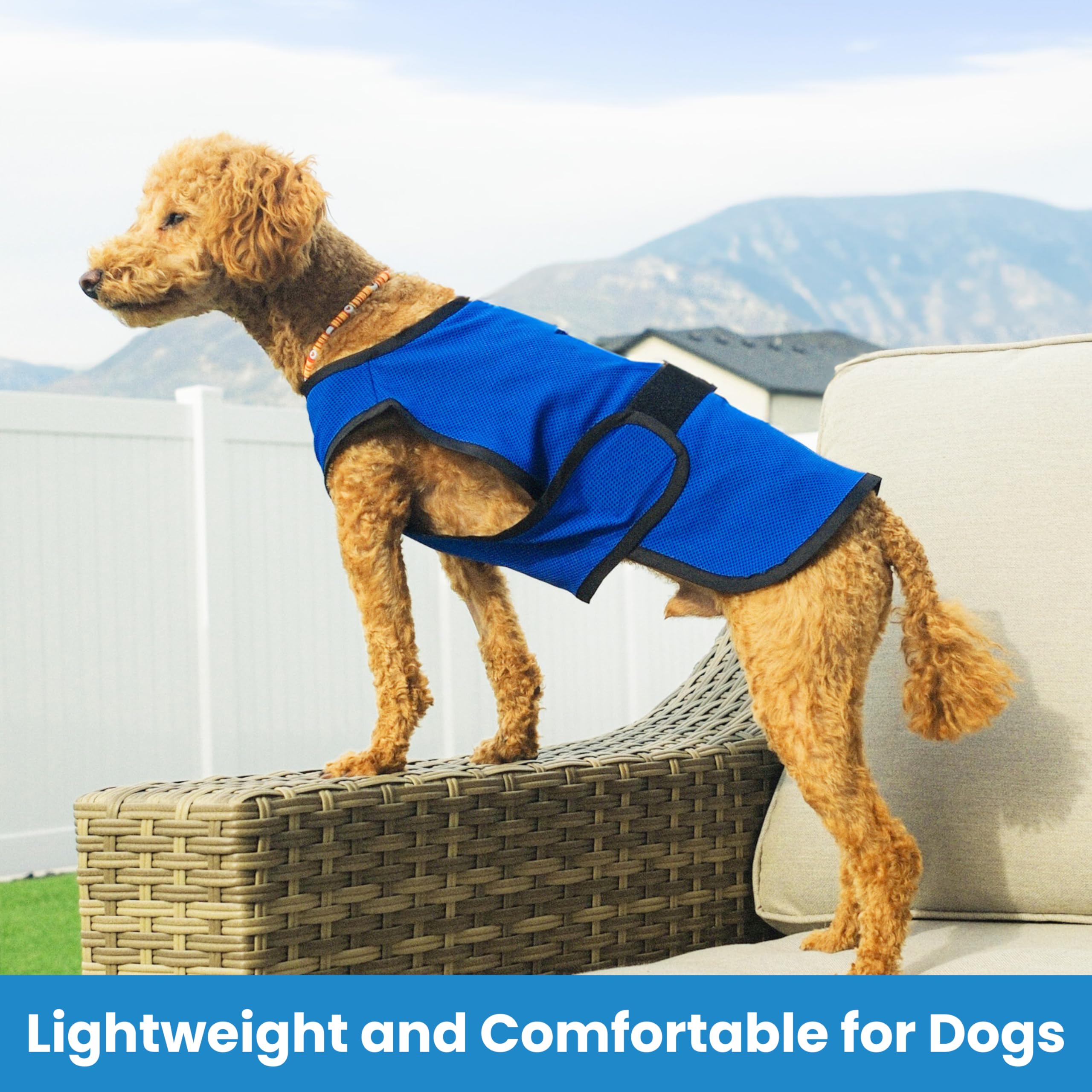 DOGZSTUFF gilet rafraîchissant pour chien - devant, ajustement facile et ventilation