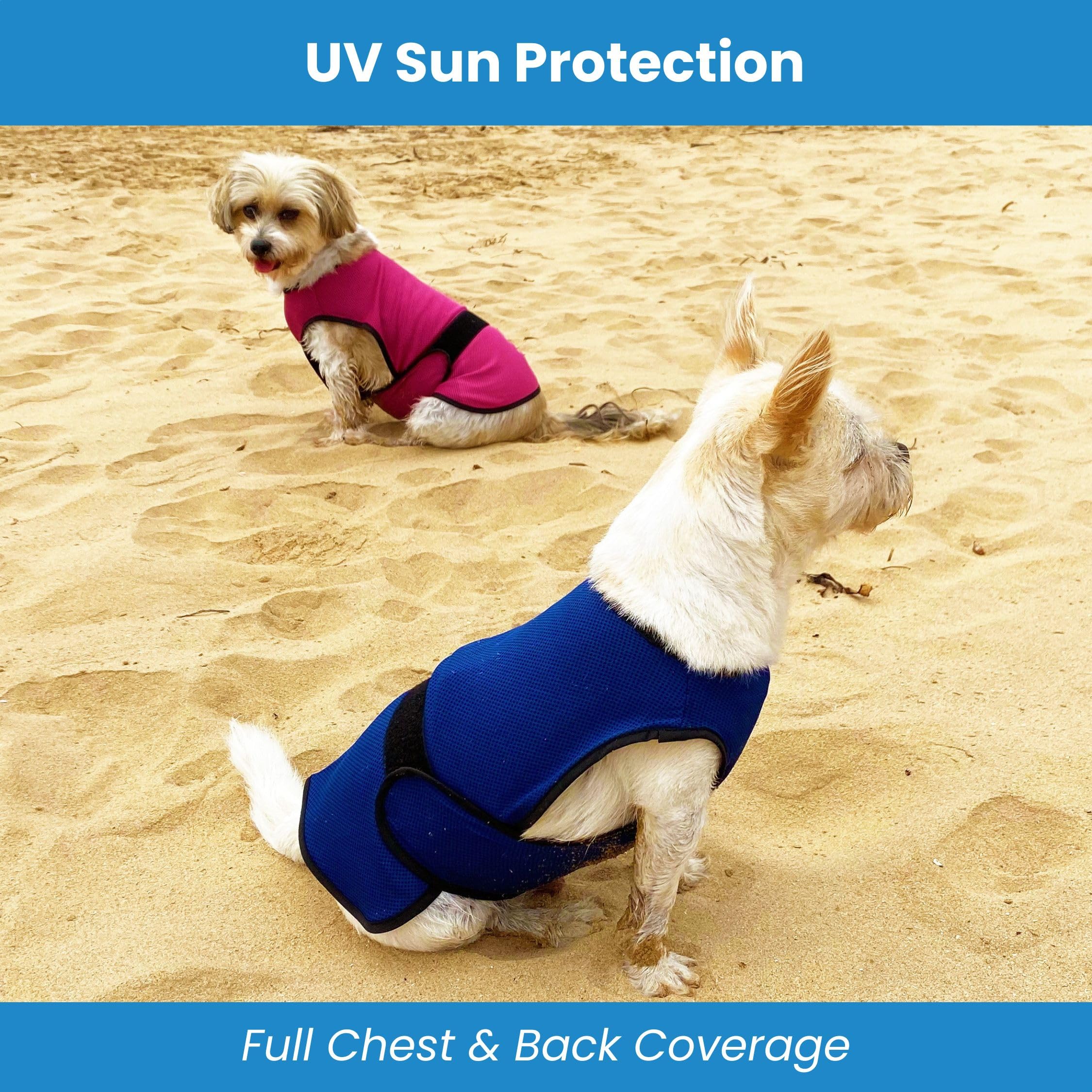 DOGZSTUFF gilet rafraîchissant pour chien - évaporation active et réactivation simple