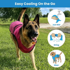 DOGZSTUFF protection UV sur dos et poitrine pour les sorties ensoleillées.