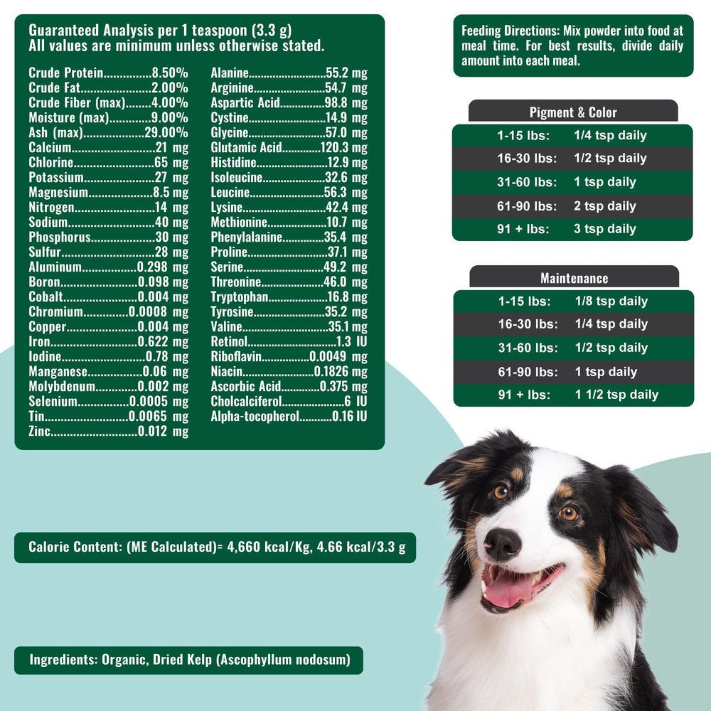 Dogzymes Algue Norvégienne cuillère-dose, administration facile et dose adaptée.