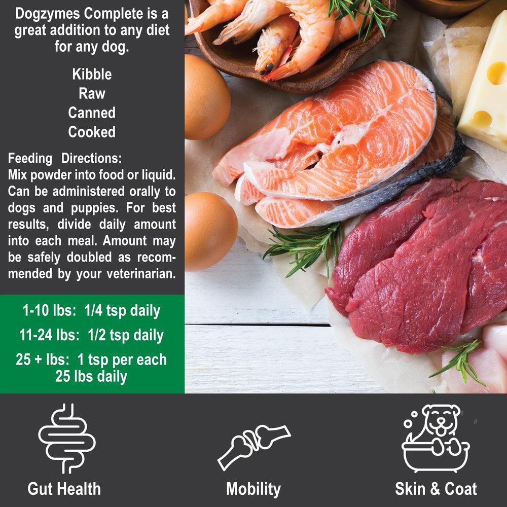 Dogzymes Complete – enzymes digestives pour optimiser l’absorption des nutriments.