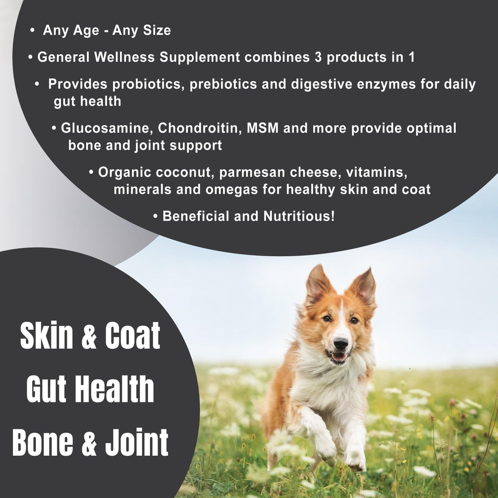 Dogzymes Complete – probiotiques, soutien digestif potentiel.