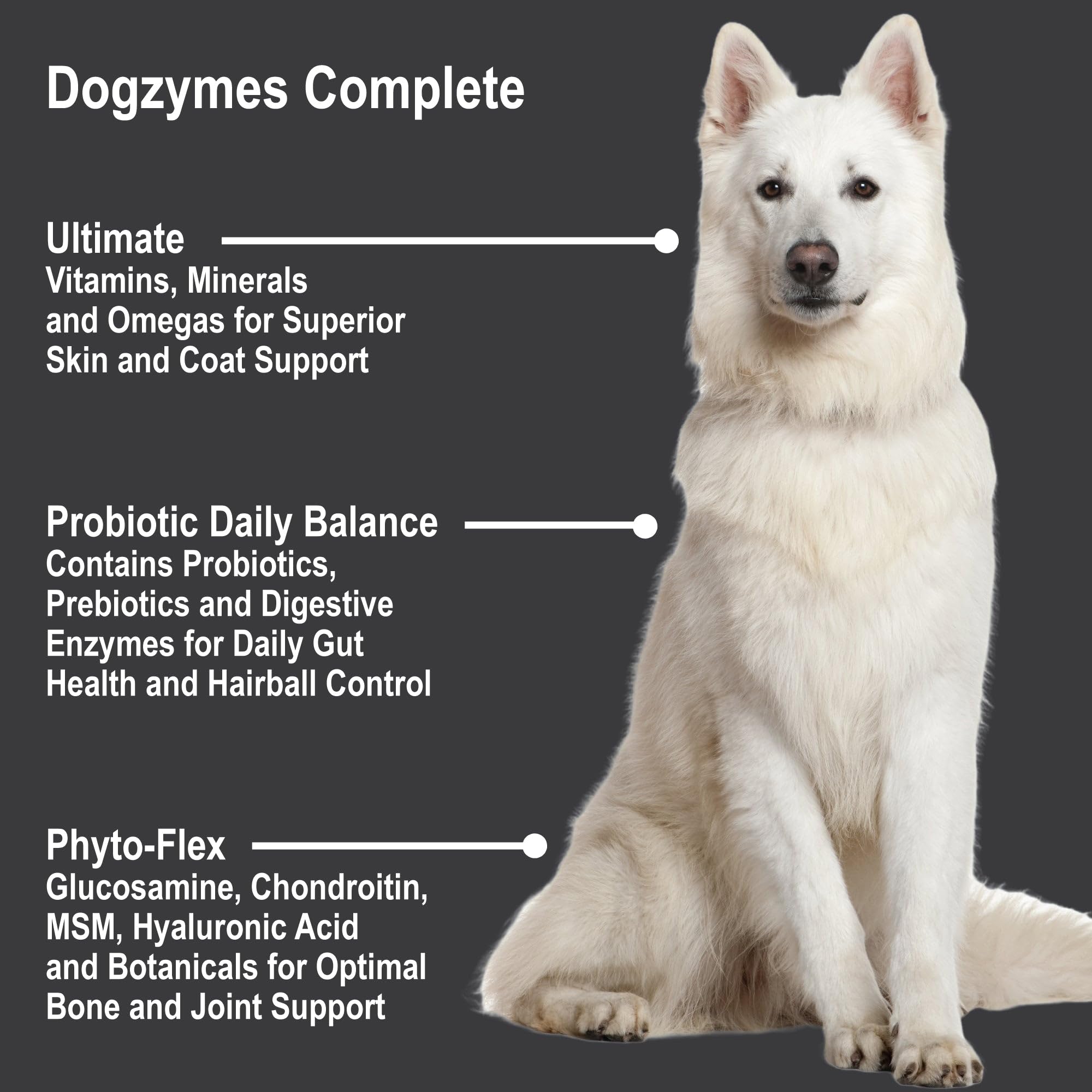 Dogzymes Complete – soin peau et pelage, pour peau et pelage sains.