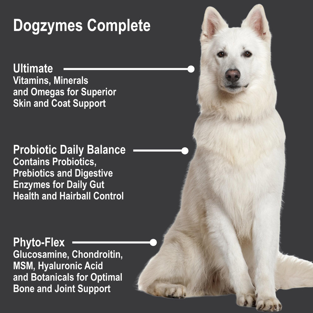 Dogzymes Complete – soin peau et pelage, pour peau et pelage sains.