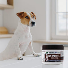 Étiquette Dogzymes Daily Balance sur l'emballage, complément probiotique vivant.