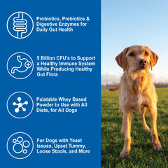 Dogzymes Daily Balance – doseur inclus; dosage précis pour chiens
