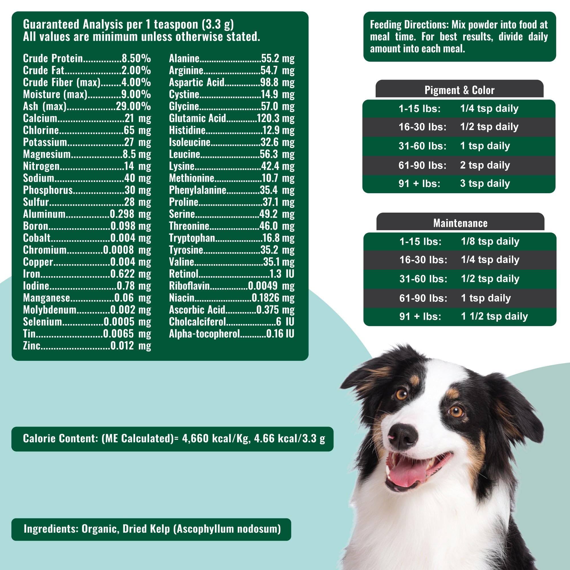 Dogzymes Étiquette Algues Bio, produit biologique certifié pour animaux.