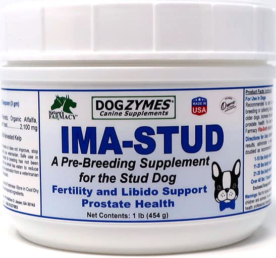 Dogzymes Ima Stud — complément en poudre soutenant la vitalité et la performance du chien reproducteur